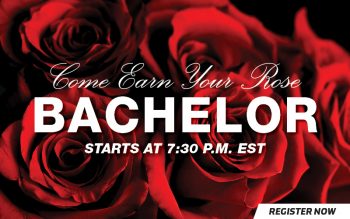 Bachelor Header Image