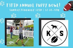 A picture of a dog and football on a blue background, with text that says "Fifth annual puppy bowl"